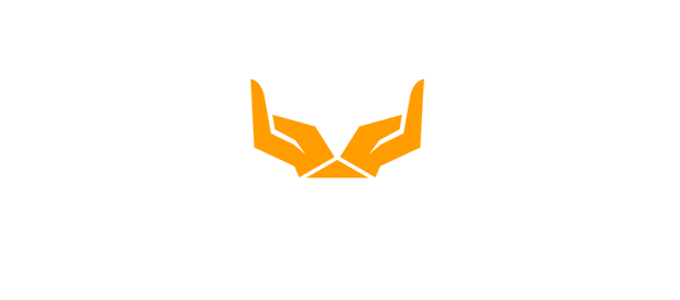 Mina Foundation Logo